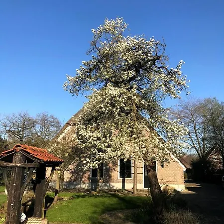 Villa In De Tuin In Gees Extérieur photo