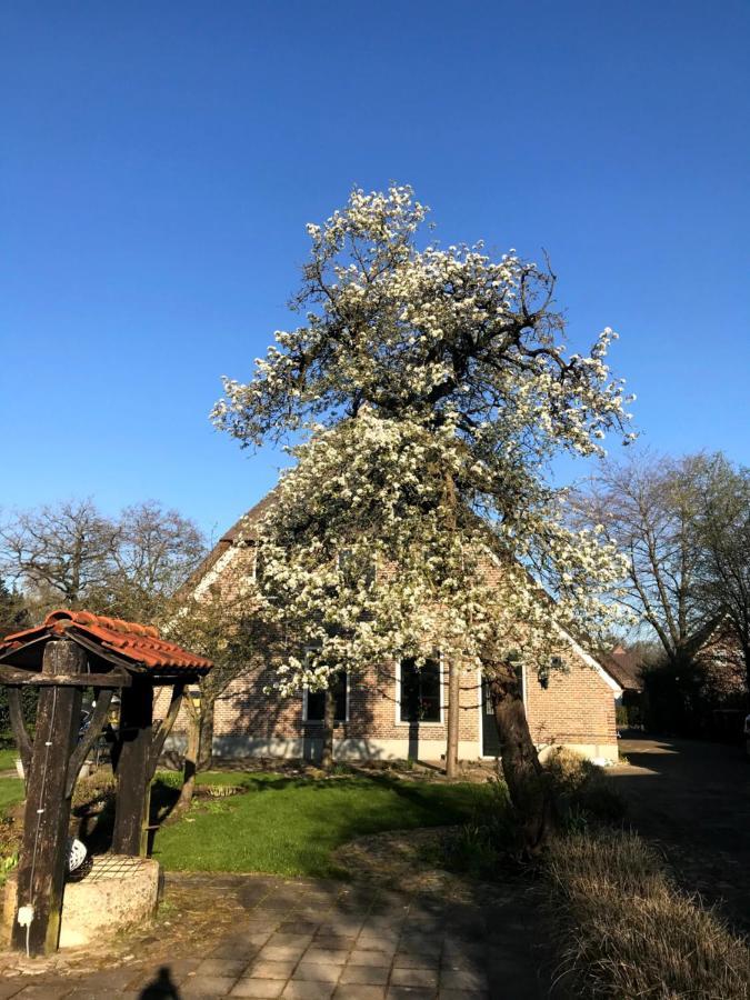 In De Tuin In
